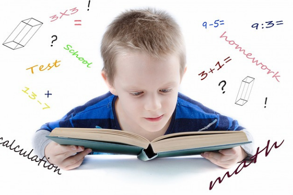 Problem-solving in mathematics